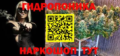амф Пугачёв